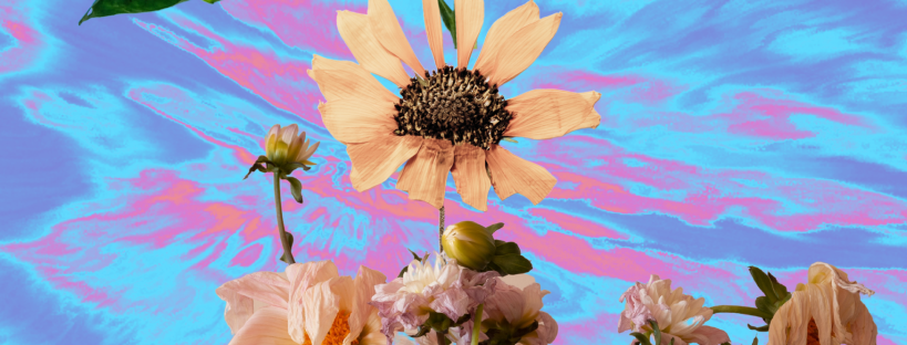 Photo collage of an upright yellow sunflower and several other drooping flowers in a tin, in front of a swirly yellow, pink and blue background.